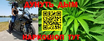 дмт Славгород