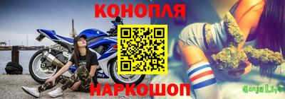 сатива Кунгур