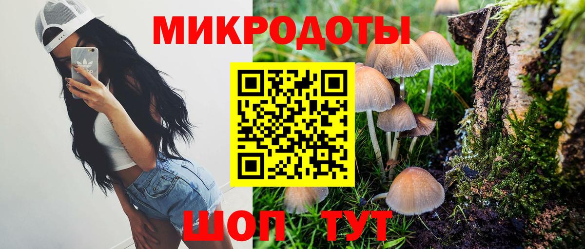 Галлюциногенные грибы ЛСД  Вход с VPN  Псилоцибиновые грибы ЛСД  Сланцы 